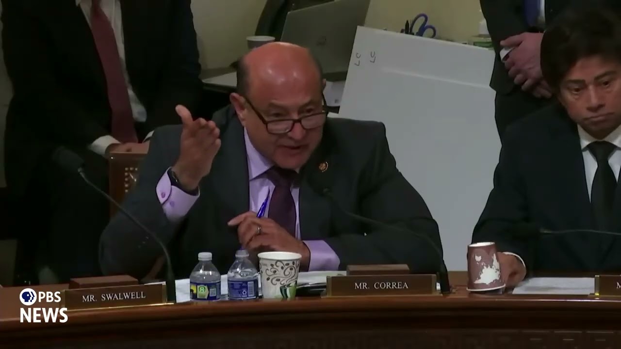 WATCH: 'There is no database for protestors,' acting ICE director tells Congress