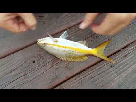 Handline fishing basic howto 