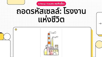 สรุปชีวะ เซลล์  EP.1 🏭 ถอดรหัสเซลล์โรงงานแห่งชีวิต - AI Recap | EasyBio สรุปชีวะสั้นๆ