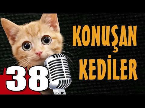 En Komik Anlar | 94.Bölüm | Çok Güzel Hareketler 2