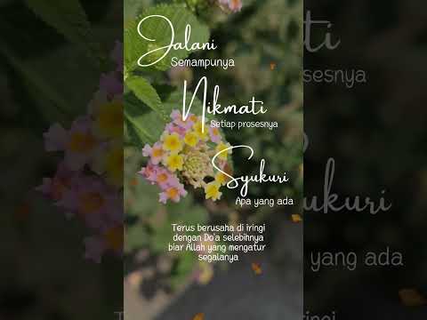 jalani semampunya