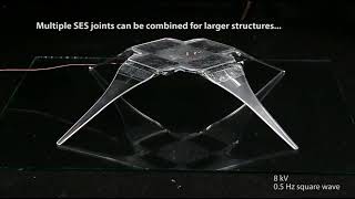 Spider-inspired electrohydraulic soft-actuated SES joints screenshot 2