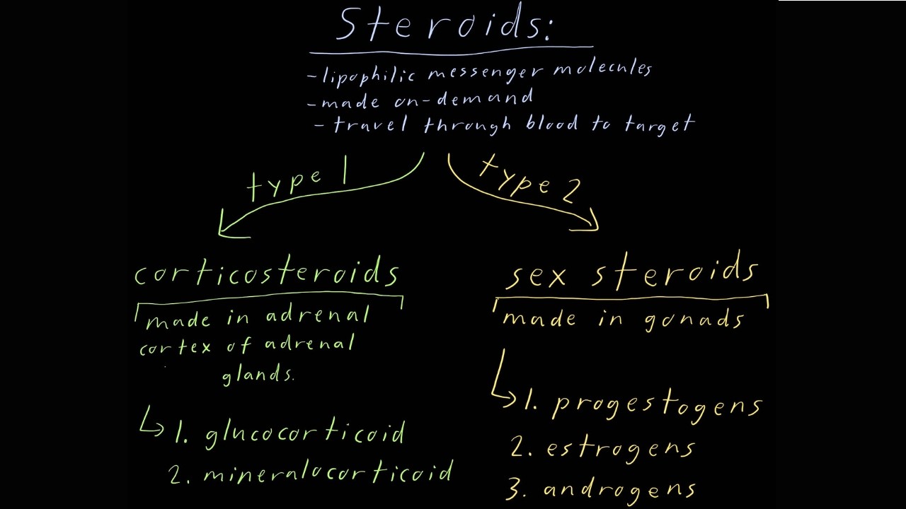 Corticosteroids & Sex Steroids and Their Functions