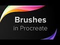 Procreate Tutorial for Beginners - Brushes (pt 3)