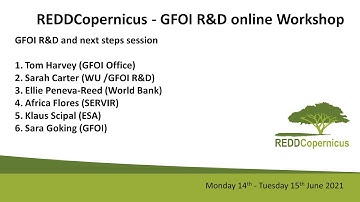 REDDCopernicus -  GFOI R&D Online Workshop - GFOI R&D and next steps