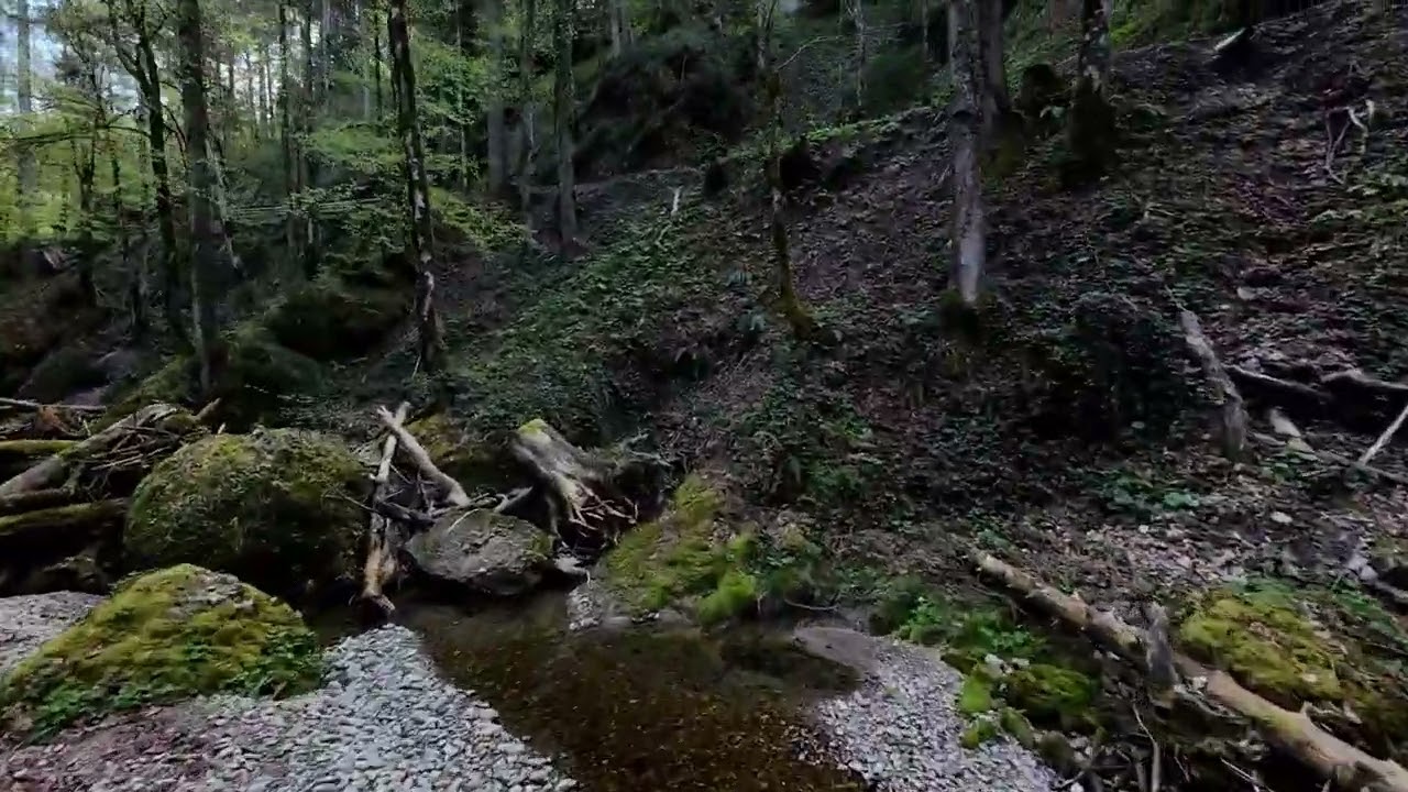 Avata 2, Frühling am Bach