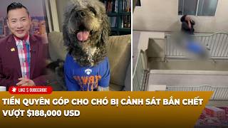 Cà Phê Sáng P3 (06-18-2026) Tiền quyên góp cho ᴄʜó ʙị ᴄảɴʜ sáᴛ ʙắɴ ᴄʜếᴛ vượt $188,000 USD