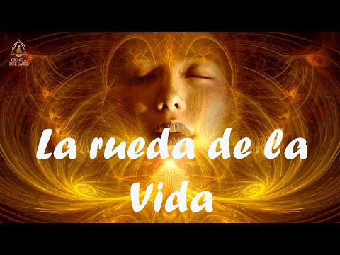 Descubre el significado de la rueda budista de la vida