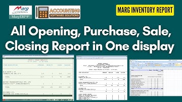 All Opening, Purchase, Sale, Closing Report in One display Marg ERP Software