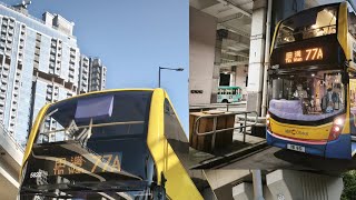 【77A🍬🍬🍬】城巴77A (筲箕灣-田灣) VZ3314 5822 VB951 6428