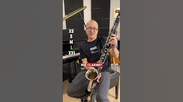 Tiny clarinet VS GIGANTIC clarinet!!!