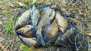 видео: Боковой кивок в камыше.долгожданная рыбалка. картинка: Боковой кивок в камыше.долгожданная рыбалка.