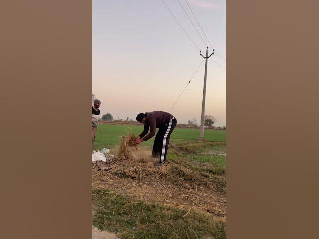 Punjabi funny reels | #punjabi funny videos #punjabicomedy #funnyshorts #punjabicomedy #punjabi