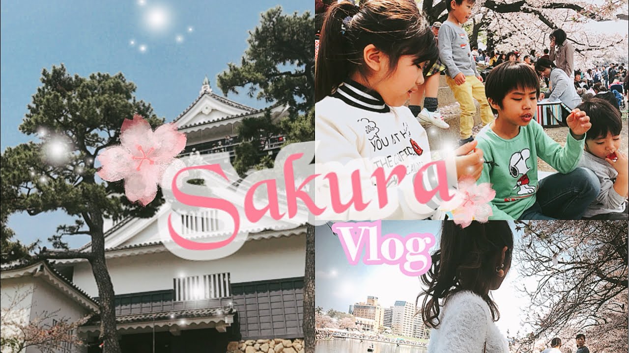 Vlog Tube Japão - Passeion Incrível no Festival de Sakura No Castelo de Okazaki 🌸 video phone lyrics