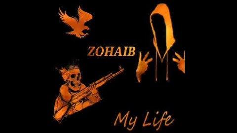 Zohaib name status