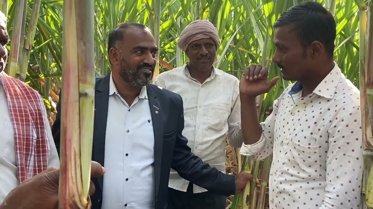 SCTवैदीक ऊस पेरे वितभर तर केमिकलचे फक्त टीचभर,फुटव्यांचा फरक,पाणी नियोजनाचे रहस्य,थेट  राम सरांकडून