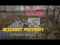 Rezerwat Przyrody ŻURAWIE BAGNO