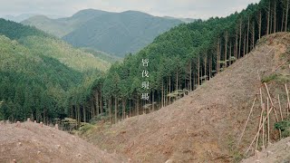 林業現場 皆伐 - 根羽村森林組合