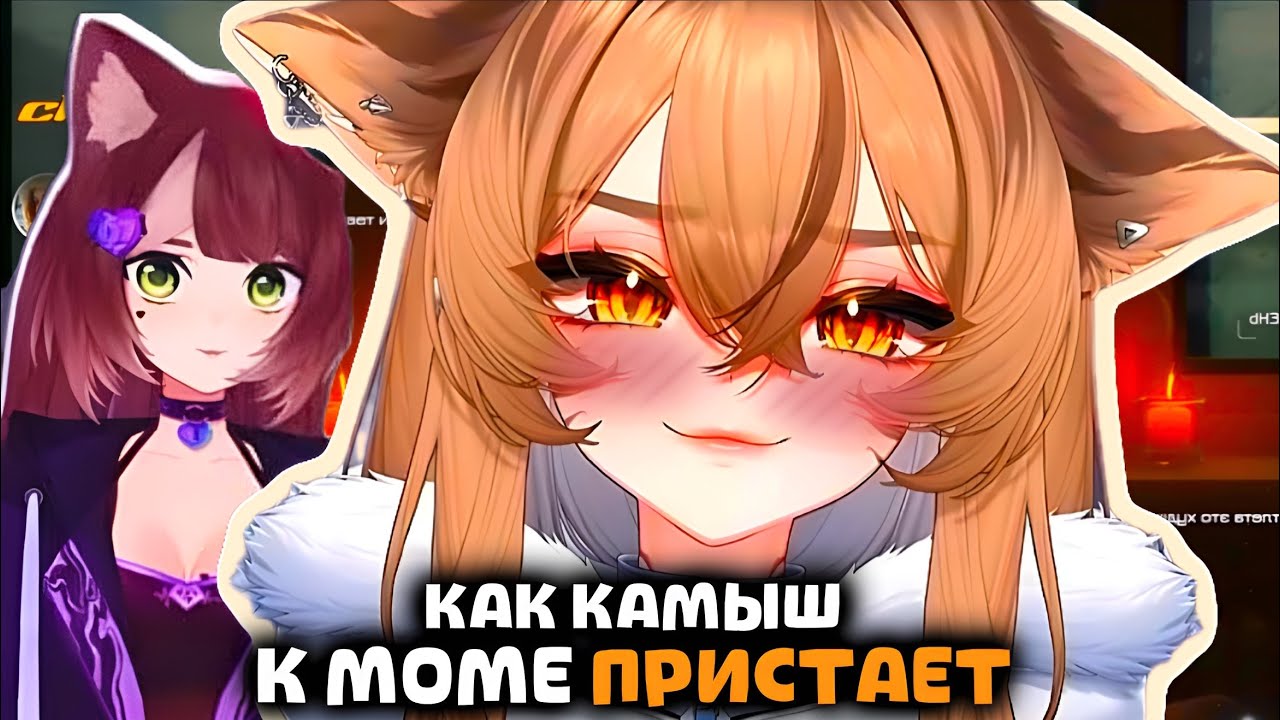 Камыш ПРО ВКУС Момы, ВЗГЛЯД CYKИ и МЫТЬЕ