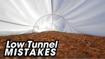 Low Tunnels: The Secret to Year-Round Growing (Don’t Make This Mistake)