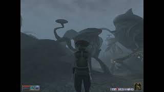 Morrowind (Perfect Character) Episode 781: Sadrith Mora potion peddling