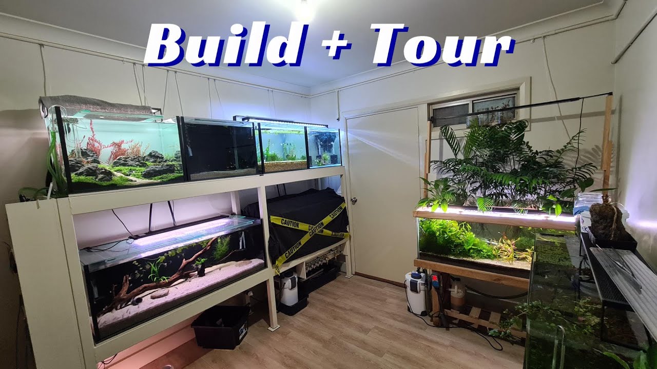 Help me build my fish room - Photos, Videos & Journals - C.A.R.E.