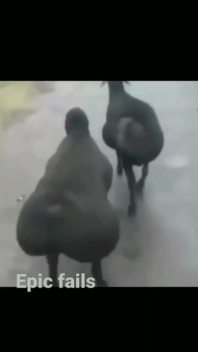 epic fails (part 68)