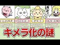 【あの子とは?】ちいかわ"キメラ化”について徹底解説!