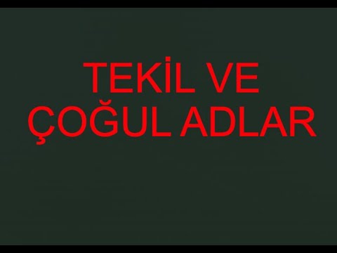 2.Sınıf Tekil ve Çoğul Adlar