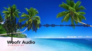 FREDJI - Happy Live [ WOOFR ] (nocopyrightmusic)