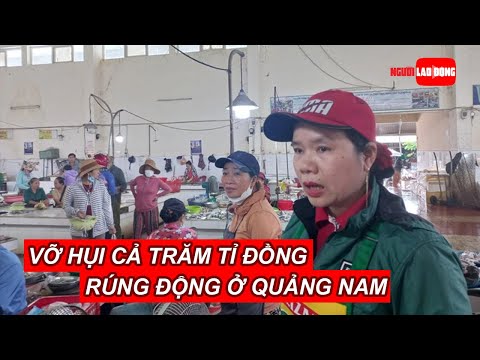 Video Vỡ hụi cả trăm tỉ đồng rúng động cả huyện ở Quảng Nam... - youtube