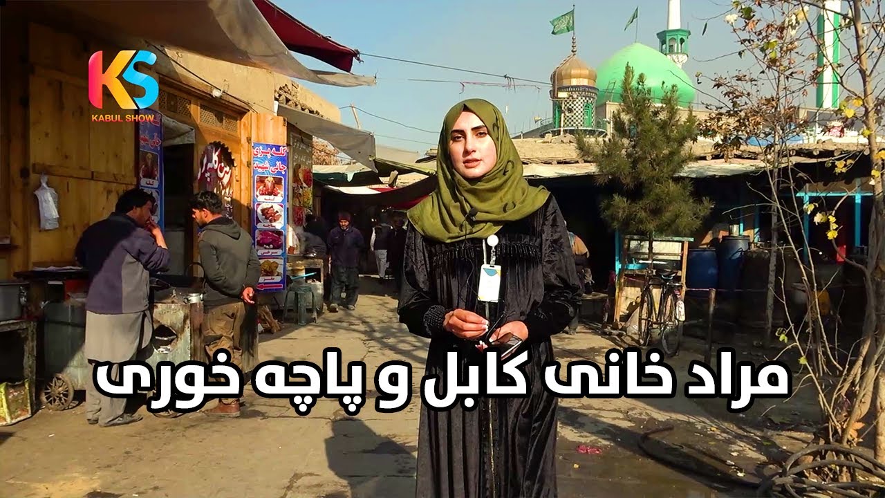 گزارش ویژه از مراد خانی کابل و پاچه خوری نیلوفر