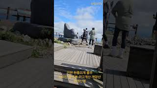 피고개산 영상