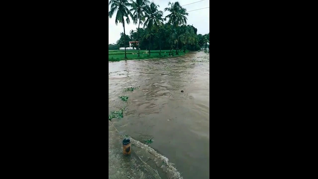 gaythri river flood in palakkad district 2019