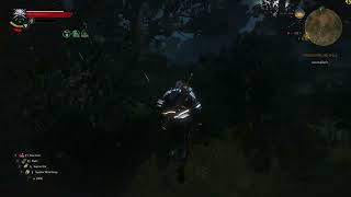 Arachnamorphs - The Witcher 3: Hearts of Stone (PC)