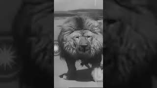 Queen Elizabeth Welcomed in Ethiopia by Emperor Haile Selassie Queen Elizabeth Welcomed in Ethiopia by Emperor Haile Selassie