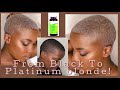 How I Bleach My Hair From Black To Platinum Blonde Toning With Gentian Violet | South African🌸