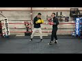 Set Up LEFT HOOKS (punches) to the Body
