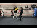 Set Up LEFT HOOKS (punches) to the Body