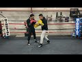 Set Up LEFT HOOKS (punches) to the Body