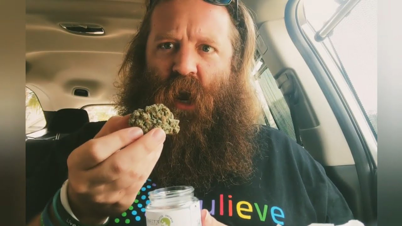 Bitter Sweetz 🍋🍊 from Grow Healthy ️ Master Growers Series 🕶️ by FL Medical Marijuana Reviews