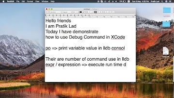 XCode LLDB Command