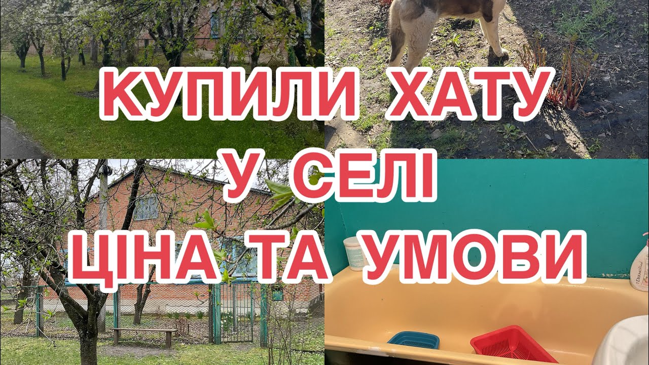 Девʼять чи десять? Покупка будинку на Полтавщині, вартість та умови 