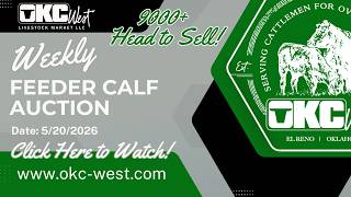 5/20/2026 -Feeder Calf Auction - OKC West