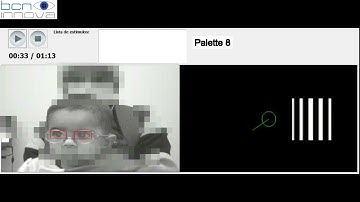 ScreenKids Preferential Looking test