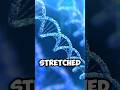DNA facts 😱😱😱😱 #viralshort#please subscribes my channel #