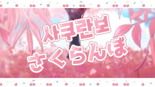 [라태준] おおつか あい(Ai Otsuka) - さくらんぼ(Sakuranbo) | COVER