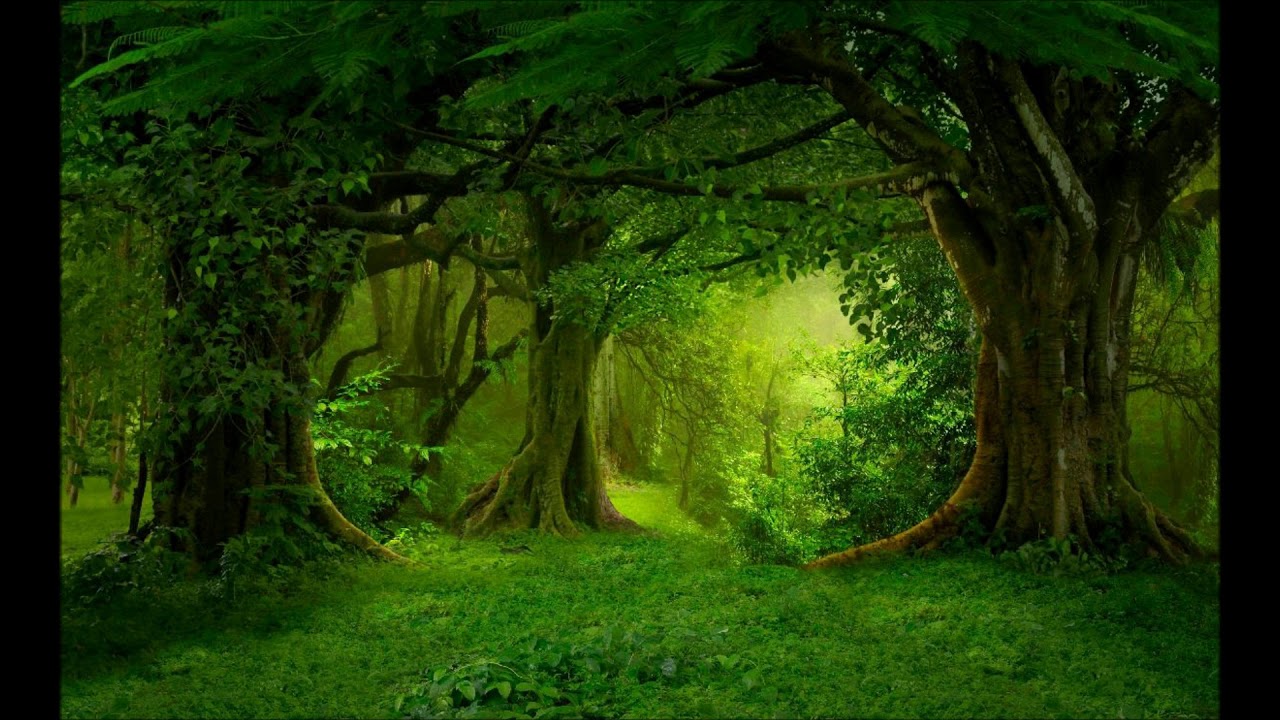 Magical Celtic Music - Children of the Land