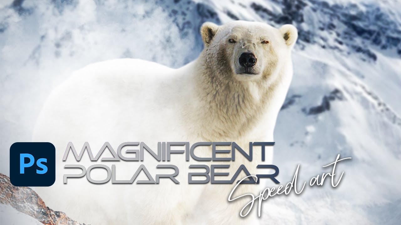 MAGNIFICENT POLAR BEAR Photo Manipulation - Photoshop Speed Art