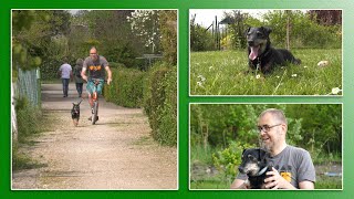 Happy End Für Aik Tierheimtv Hannover
